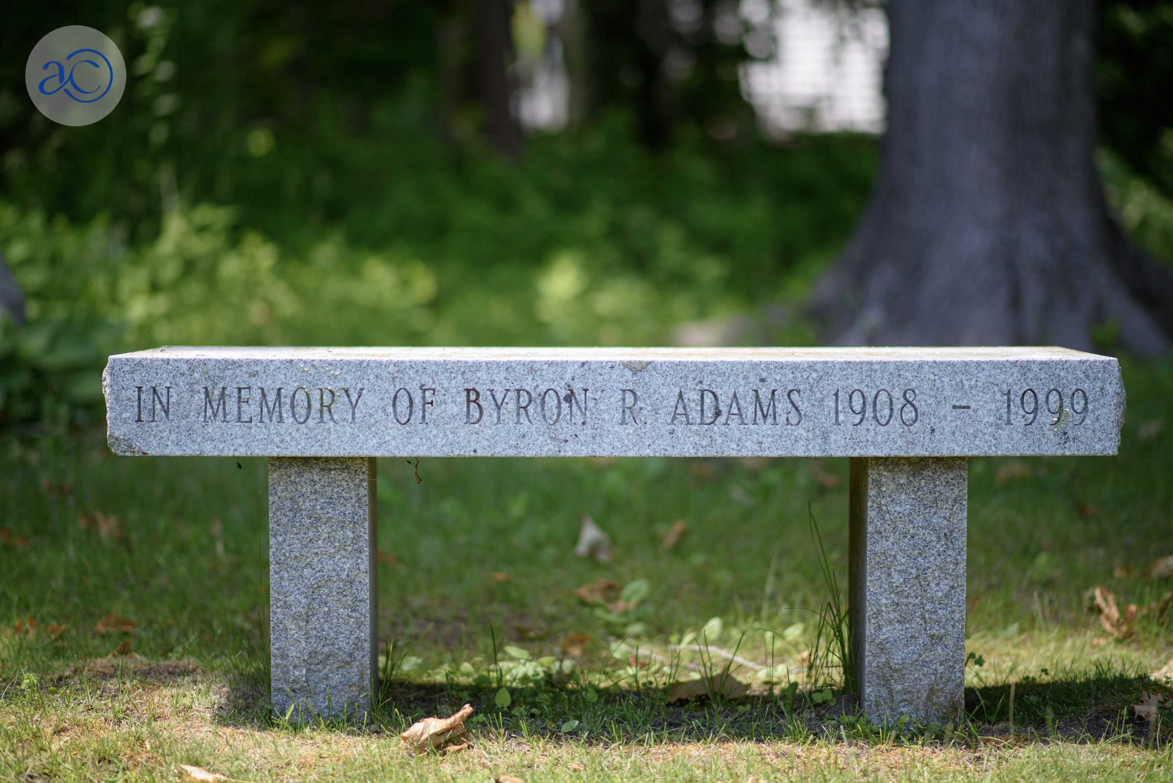 is this cemetery or library