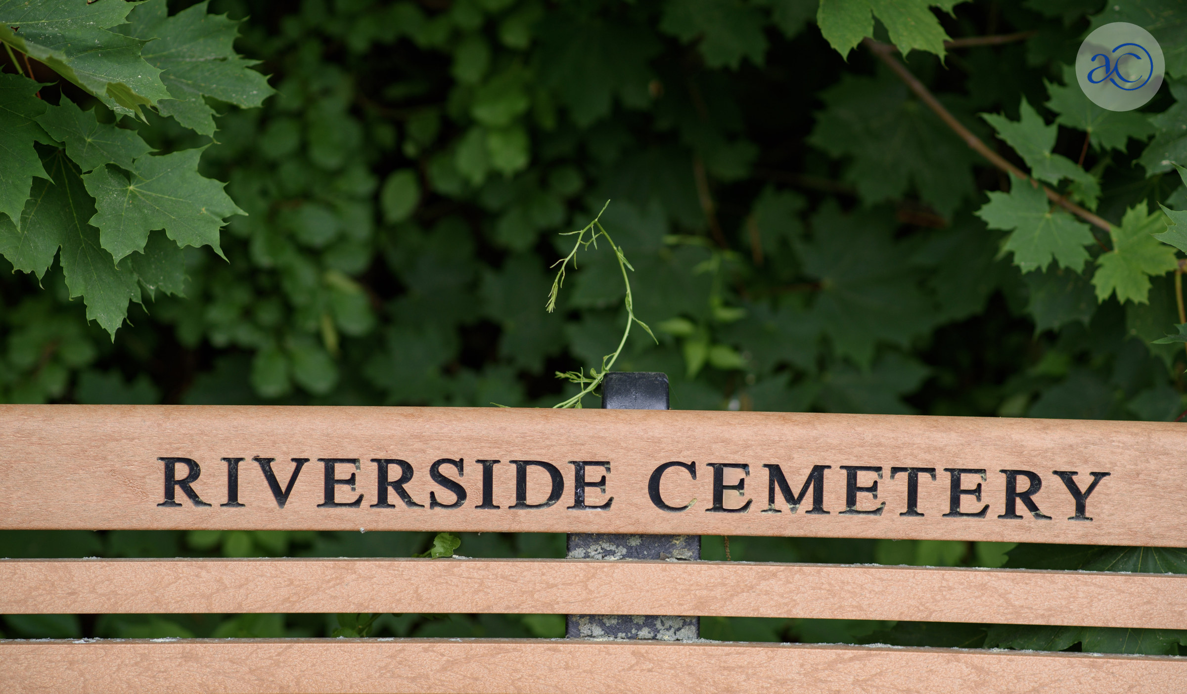 Riverside Cemetery Bench