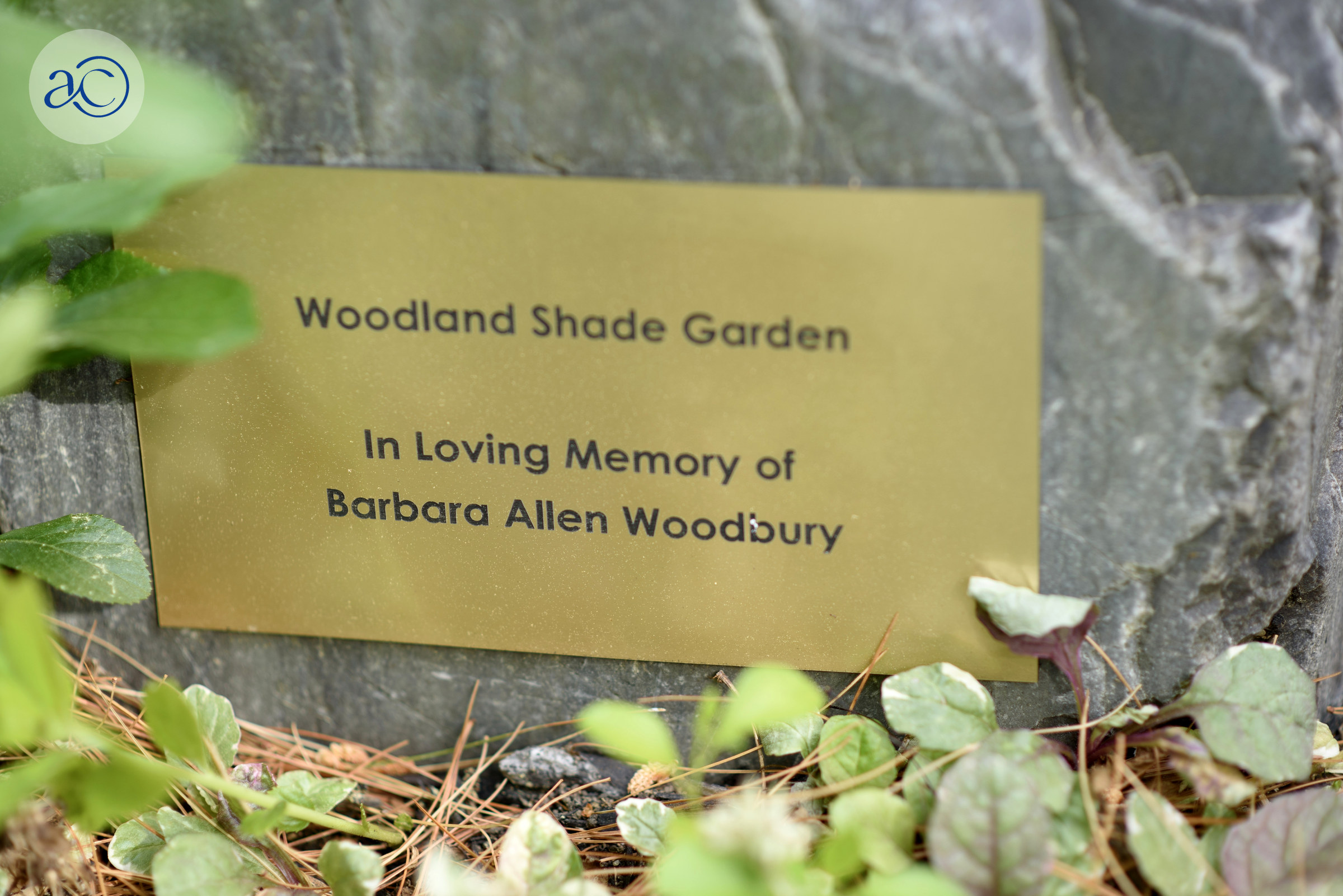 Barbara Allen Woodbury Memorial Plaque