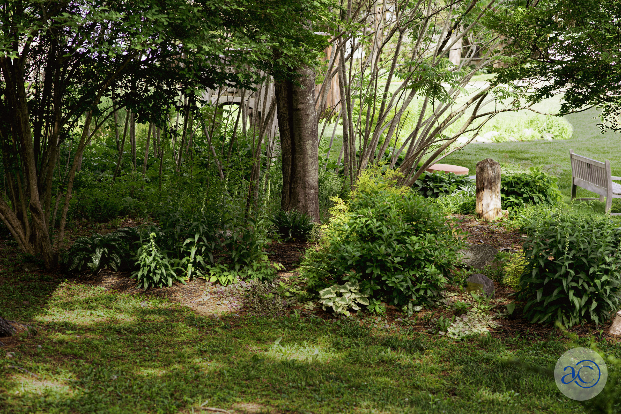 Ogunquit Museum of American Art photograph 39