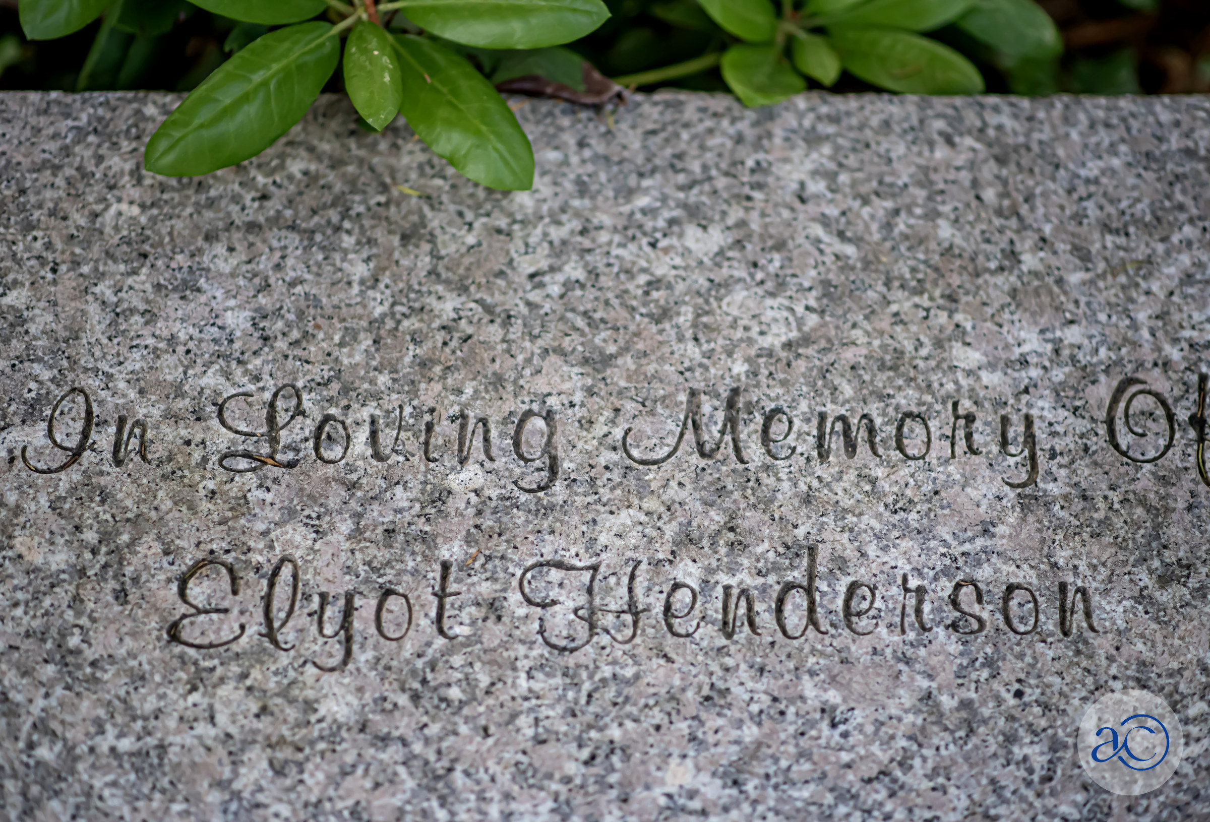 Elyot Henderson Memorial Stone