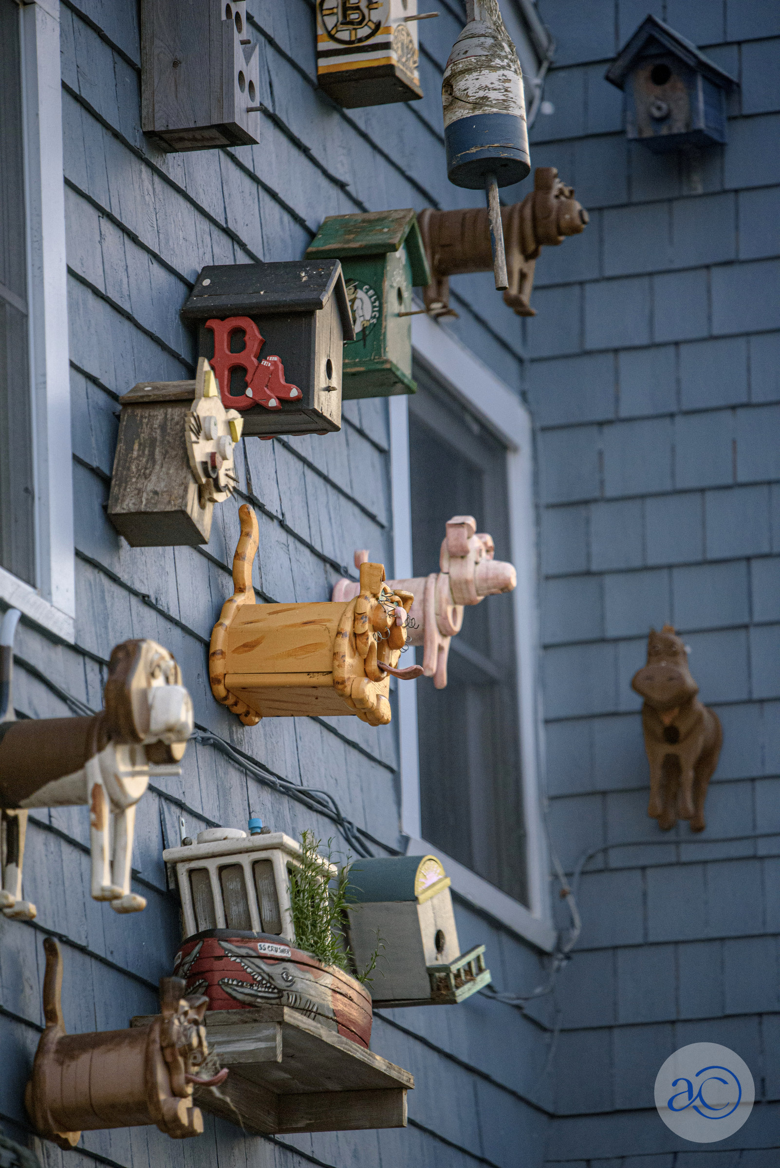 Perkins Cove photograph 8