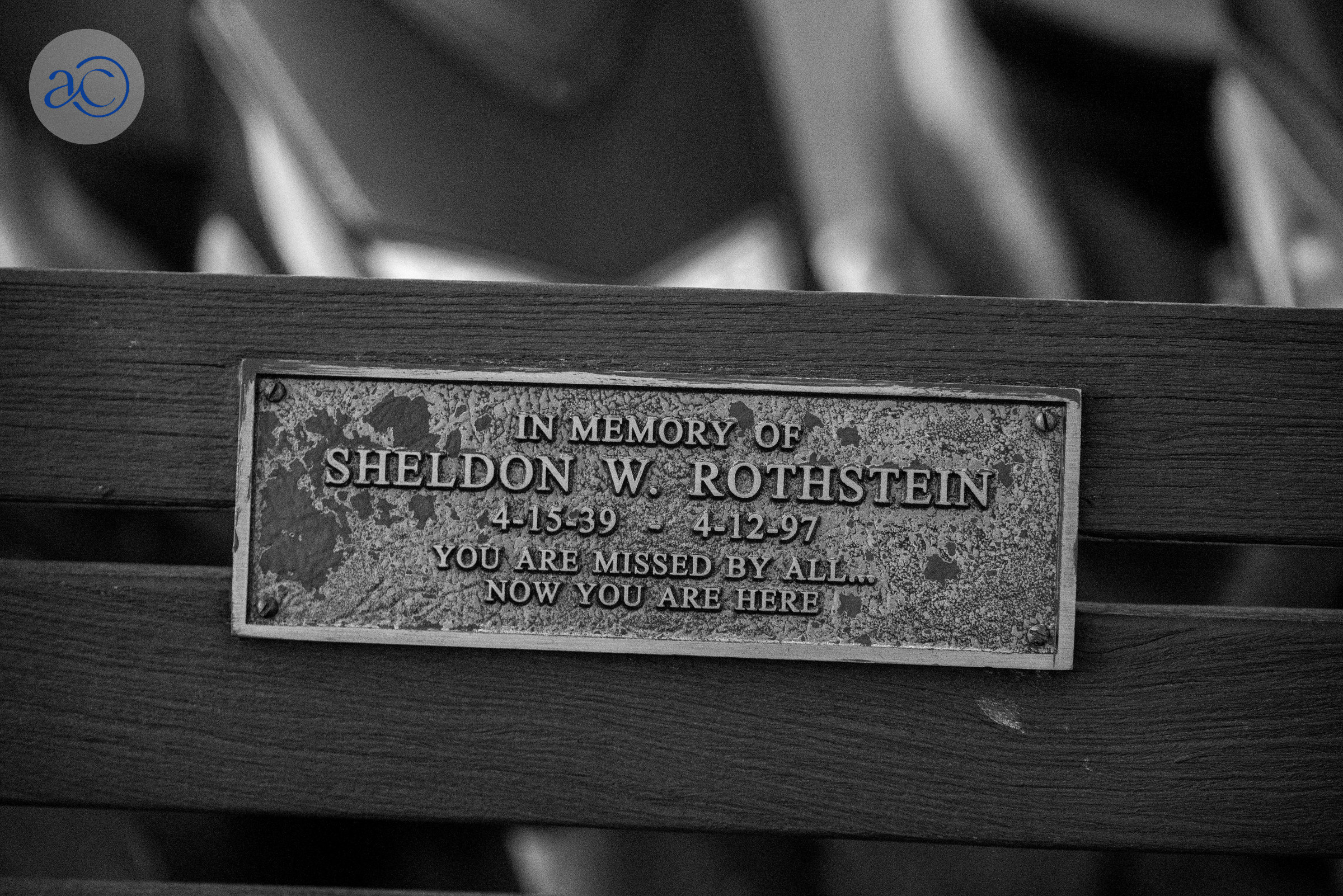 Sheldon Rothstein bench plaque