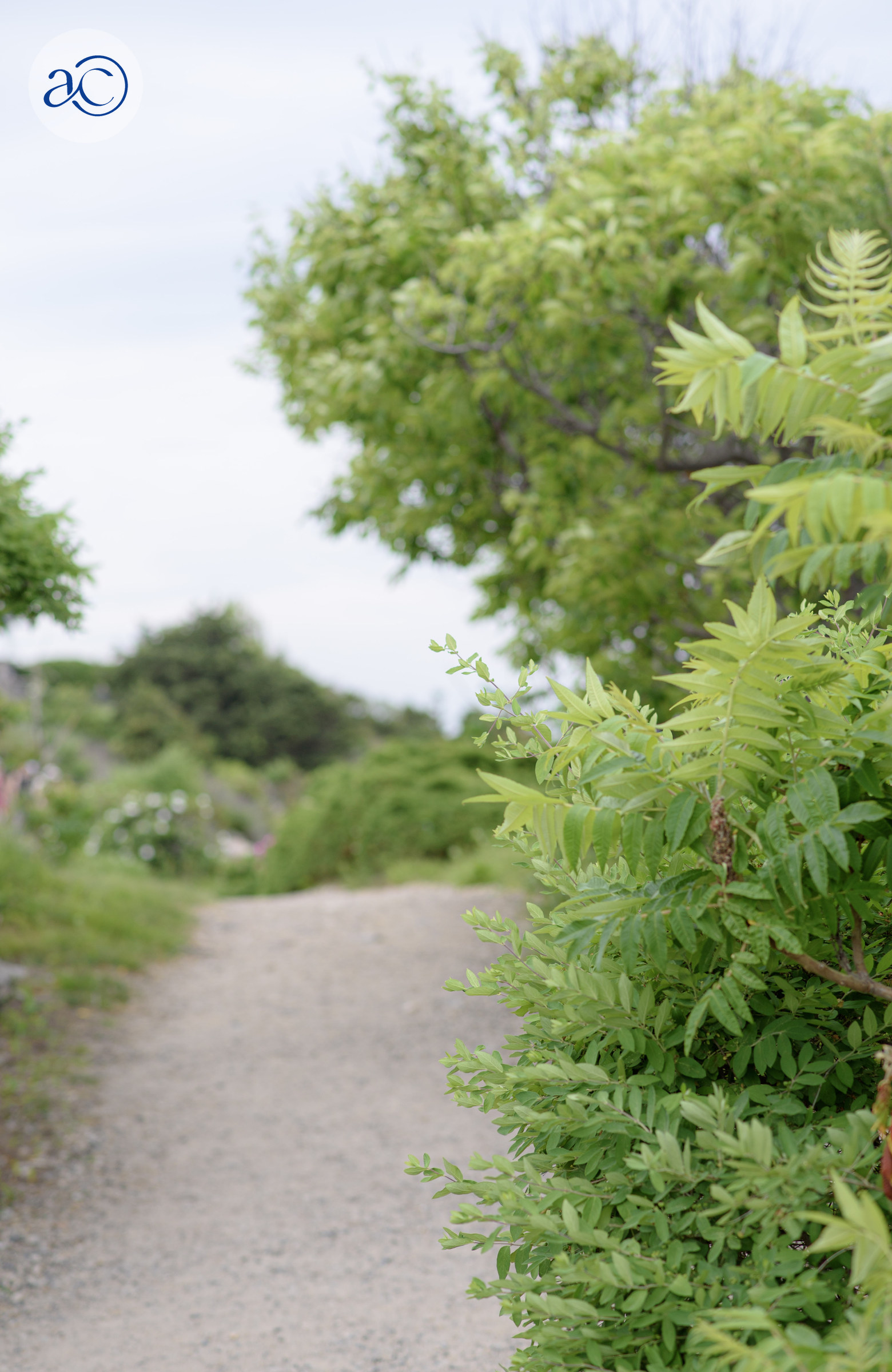 Marginal Way Path to Serenity Point
